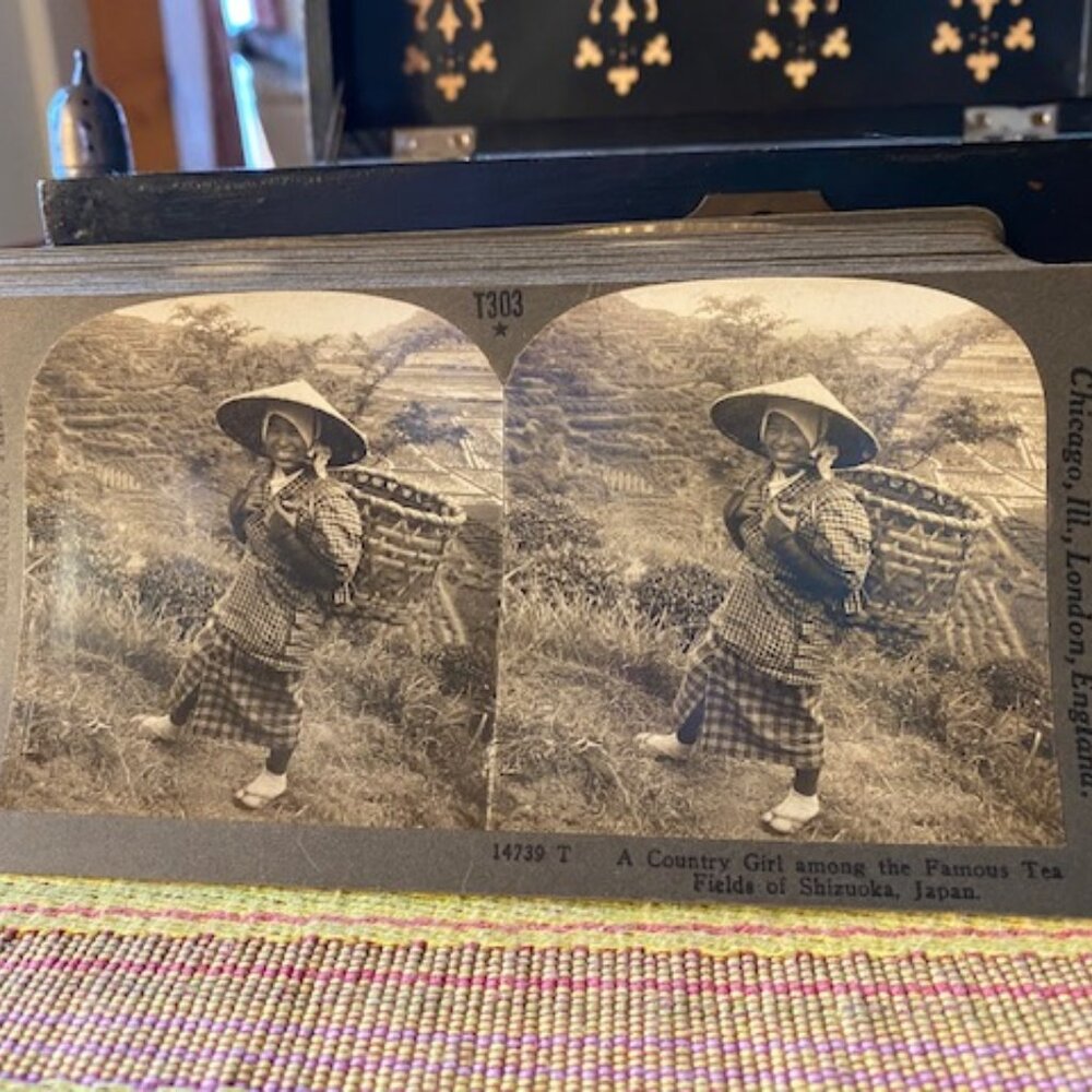 A Country Girl Among Famous Tea Fields Stereoview Keystone View Co. 1900s Japan
